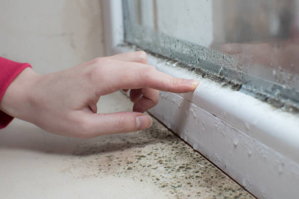 Best Dehumidification Services  in Smithville, TX